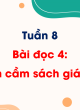 Tuần 8 - Bài đọc 4 Mỗi lần cầm sách giáo khoa